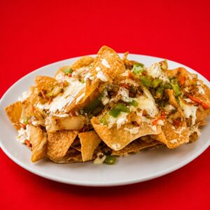 Wonton Nachos (16)