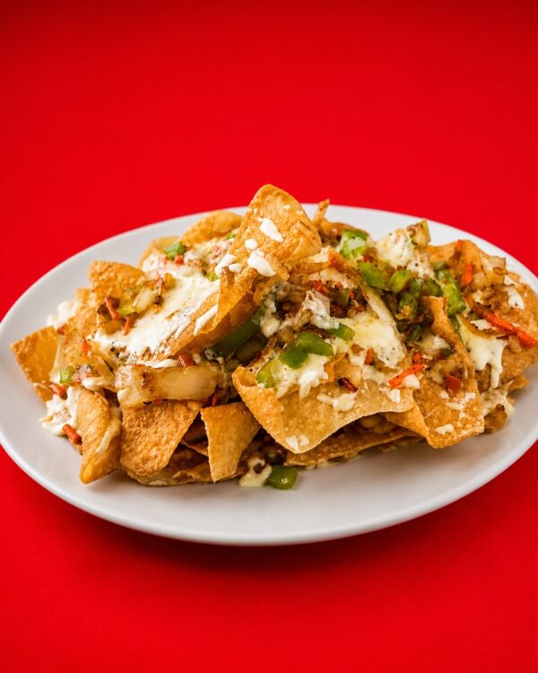 Wonton Nachos (16)
